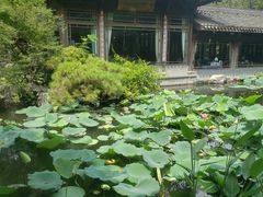 -乾园.魏庐湖景餐厅(花港店)