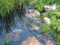 太湖风景区-苏州吴中太湖旅游区