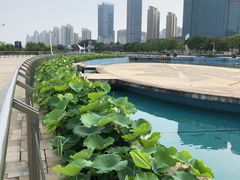 -秋水广场