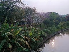 -海珠湖公园