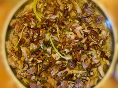 -遇龙河大樟树农家乐