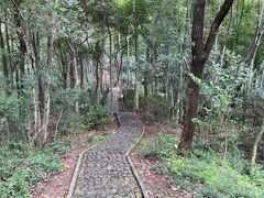 -上海佘山国家森林公园天马山园