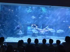 -台州海洋世界