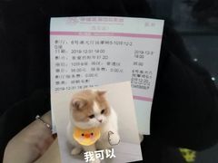 -幸福蓝海国际影城(西安立丰店)