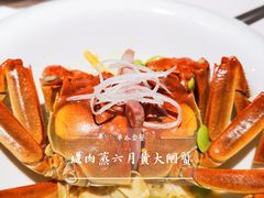 百叶咸肉蒸六月黄-蟹榭·本帮江浙菜·蟹宴(五角场合生汇商场店)