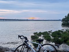 -宝安西湾红树林湿地公园