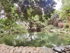 -成都市活水公园