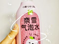 -奈雪的茶(赛格店)