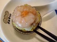 -点都德·毕德寮