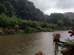 -深圳仙湖植物园