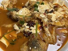 -煲来饱去冷水鱼