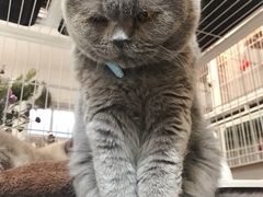 -小时光咖啡馆(北锣鼓巷店)