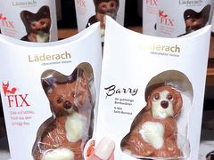 -Laderach 莱德拉(上海环贸iapm店)