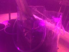 -胡桃里音乐酒馆(下沙店)