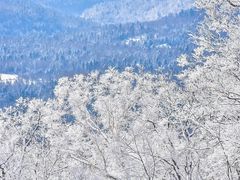 -长白山万达国际滑雪场