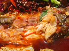 -师烤·豆花烤鱼(广州荔湾扬韬广场店)