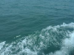 -放鸡岛生态旅游国际度假区