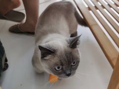 -一间摄影工作室(天安云谷店)