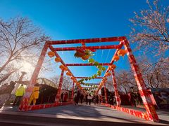 -青龙湖公园