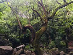 -浙北大峡谷