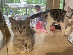 -熊小胖宠物生活馆(天华园店)