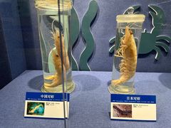 -大连自然博物馆