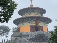 -铁山坪森林公园