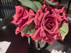 -22ºN BISTRO西餐&酒馆