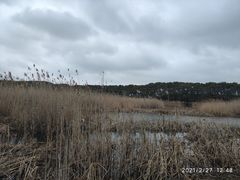 -同里国家湿地公园