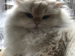 -胡记饭店(保工街店)