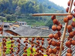 -杨家堂村