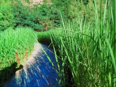 -百里山水画廊