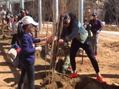 -十渡东湖港风景区