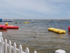 -碧海金沙