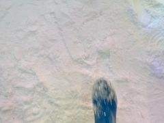 -世界之窗阿尔卑斯冰雪世界