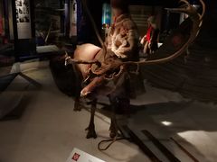 -挪威文化史博物馆