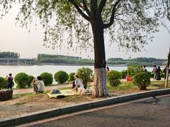 -丁香湖公园