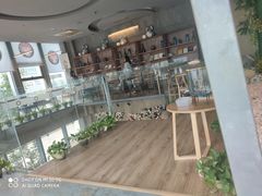 -了不起的考拉咖啡店(高新店)