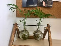 -猫头鹰照相馆(国贸店)