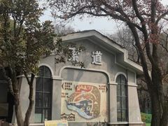-WeLope紫金山探险公园