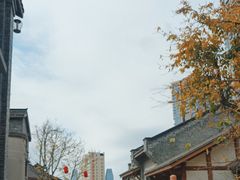 -重庆十八梯传统风貌区