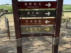 -西青郊野公园