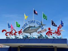 -海鮮寿司とれとれ市場