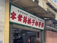 -洪馨椰子