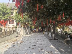 -赭山公园