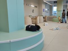 -怪兽屋·羊驼·猫咖·狗咖(俊华广场店)