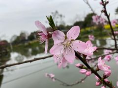 -洪湖家庭农场·团建·露营·会议