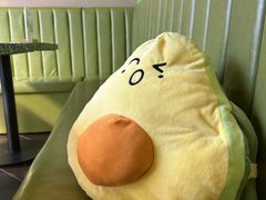 -油梨树AVOCADO TREE(顺义新国展店)