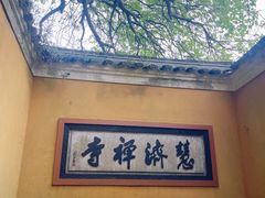 -普陀山风景区-佛顶山