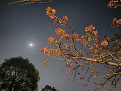 -重庆中央公园(渝北区)